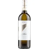 Vite Colte Roero Arneis Villata DOCG 2024