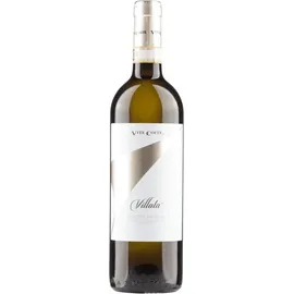 Vite Colte Roero Arneis Villata DOCG 2024