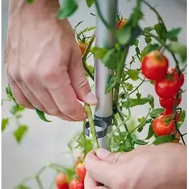 Gusta Garden Tom Tomato Pflanztopf 28 x 35 cm Blau