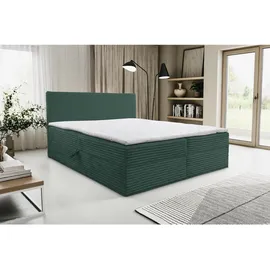 venasi TILLY Boxspringbett 140x200 mit 2 Bettkästen H2/H3 Matratze GRÜN CORD TILIA - Grün