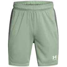 Under Armour Jungen UA B's Ch. Knit Short Pants