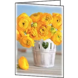 Sigel Grußkarten Ranunculus DIN A6, 10 St.