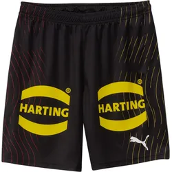 Puma DHB Shorts With Sponsor puma black-puma red (02) XL