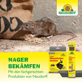 NEUDORFF Wühlmausköder Quiritox
