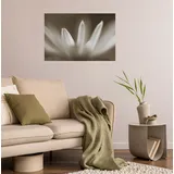 Queence Wandsticker QUEENCE "Blüte", beige, B:90cm H:60cm T:0,1cm, Folie, Wandtattoos, Selbstklebend, kinderleichte Anbringung