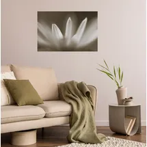 Queence Wandsticker QUEENCE "Blüte", beige, B:90cm H:60cm T:0,1cm, Folie, Wandtattoos, Selbstklebend, kinderleichte Anbringung
