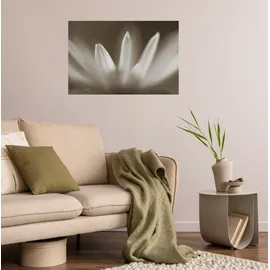 Queence Wandsticker QUEENCE "Blüte", beige, B:90cm H:60cm T:0,1cm, Folie, Wandtattoos, Selbstklebend, kinderleichte Anbringung