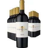 2024 Cippune Primitivo im 12er-Vorratspaket