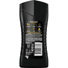 Axe 3-in-1 Duschgel & Shampoo Dark Temptation für langanhaltende Frische und Duft nach der Dusche getestet 250 ml 24 Stück