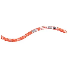 Mammut Alpine Classic 8.0 Mm Rope Rot 50 m