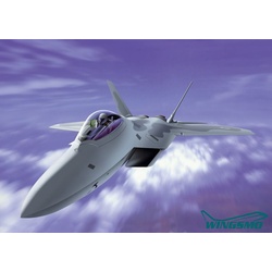 Italeri F-22 Raptor 1207