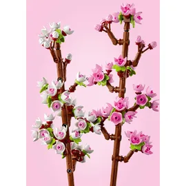 LEGO Botanicals Kirschblüten 40725