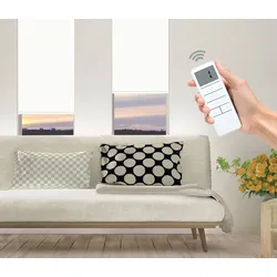 Elektrisches Rollo GOOD LIFE "Vau - SMART HOME" Gr. 2, weiß (weiß, weiß), B:120cm H:150cm, Polyester, Kunststoff, Metall, Rollos, mit Fernbedienung