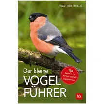 BLV Verlagsgesellschaft GmbH Der kleine Vogelführer