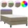 vidaXL Boxspringbett mit Matratze & LED Taupe 100x200 cm Stoff