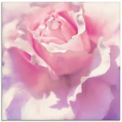 Glasbild ARTLAND "Rosa", pink (farbe bild(er): pink), B:50cm H:50cm, Bilder, in verschiedenen Größen