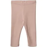 Wheat Jules Rosa 68