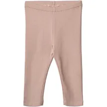 Wheat Jules Rosa 68