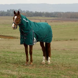 Weatherbeeta Comfitec Plus Dynamic Turnout Detach-A-Neck 220g, 140