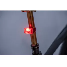 Cube Acid Pro Evolution Rücklicht - Black / Red - One Size