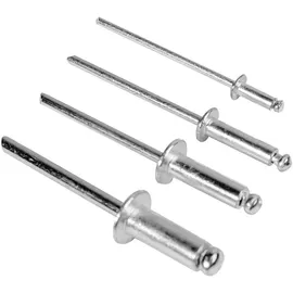 Brüder Mannesmann Werkzeuge Brüder Mannesmann Nietsortiment, (600-tlg.) M1097-S