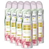 Dove Sommer Ritual Deo Spray 6 x 150 ml