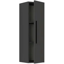 Ebuy24 ArilaL TV Tisch wandschrank 1 Tür anthrazit.