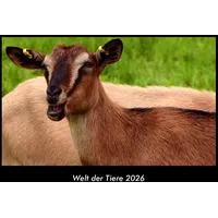 Vero Kalender Welt der Tiere 2026 Fotokalender DIN A3