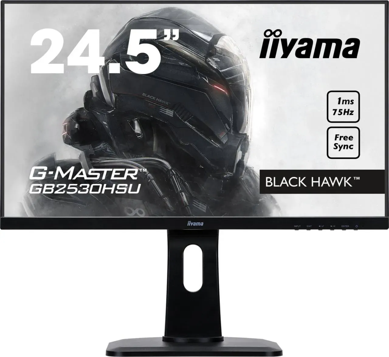 iiyama G-Master GB2530HSU 24.5" Full HD Display schwarz