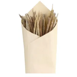 Chic Antique Fleur getrocknetes Lieschgras, L70 cm, natur