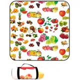 DOTBUY-SHOP Picknickdecke Wasserdicht, Campingdecke Stranddecke Wärmeisoliert Maschinenwaschbar Faltbar Picknickmatte, für Outdoor Strand Campen Wandern Ausflüge (Frucht,150x150cm)