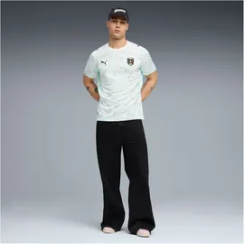 Puma ÖFB Auswärtstrikot Replica 2023 Herren Gr. 3XL