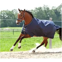 Kavalkade Kavalkade, Pferdedecke, 165 cm)