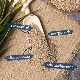 Lyra Pet 25 kg Sonnenblumenkerne geschält Bruch Neue Ernte