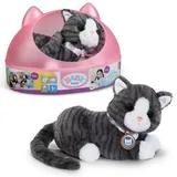 Zapf BABY born Mein Kätzchen Cookie mit Box