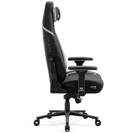 Diablo Chairs X.Eye Prime Gaming-Stuhl Burned Black PC