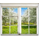 Queence Wandsticker QUEENCE "Wiese mit Bäumen", grün, B:40cm H:60cm T:0,1cm, Wandtattoos, Wandsticker, Wandsticker, Wandbild, selbstklebend, 3D, Fenster
