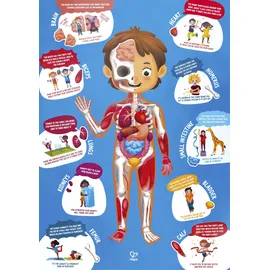 HaPe Puzzle "Mein Körper"