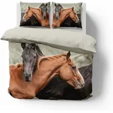 Baumwollbettwäsche 220x200 Pferde 4711 A Holland 35