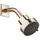 Dornbracht Kopfbrause FlowReduce Light Gold (28508980)