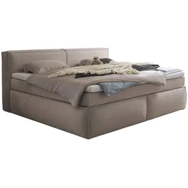 Stella Trading Boxspringbett – stone - H3/H4 - Microvelours - 180x200 cm