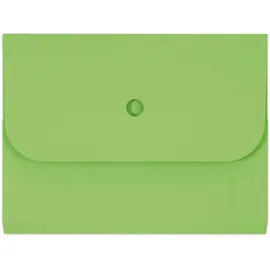 ELCO Sammelmappe A4 Grün 25 St.