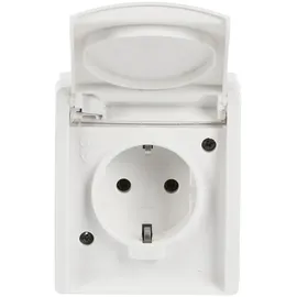 Busch-Jaeger Schuko-Steckdose 20 EW-54 Alpinweiß