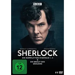 Sherlock - Die komplette Serie: Staffeln 1-4&Die Braut des Grauens auf 11 DVDs LTD.  [11 DVDs]