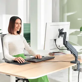 Leitz Ergo Platzsparender Single Monitorarm Schwenkarm Grau