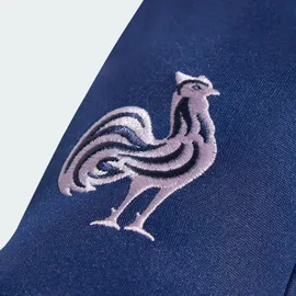 adidas Frankreich Feldspieler-Handschuhe rosa|blau XL