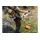 Husqvarna 220iR inkl. 1 x 2,0 Ah