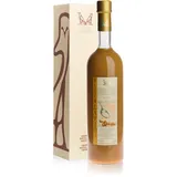 59,98€/l Sahne- und Kaffeelikör Villa Laviosa 0,5 Liter