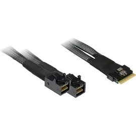 Inter-Tech SFF-8654 8i - 2x SFF-8643