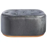 Kobolo Sitzbank Bank Hocker mit Aufbewahrung Samtoptik Textil – hell grau goldfarben